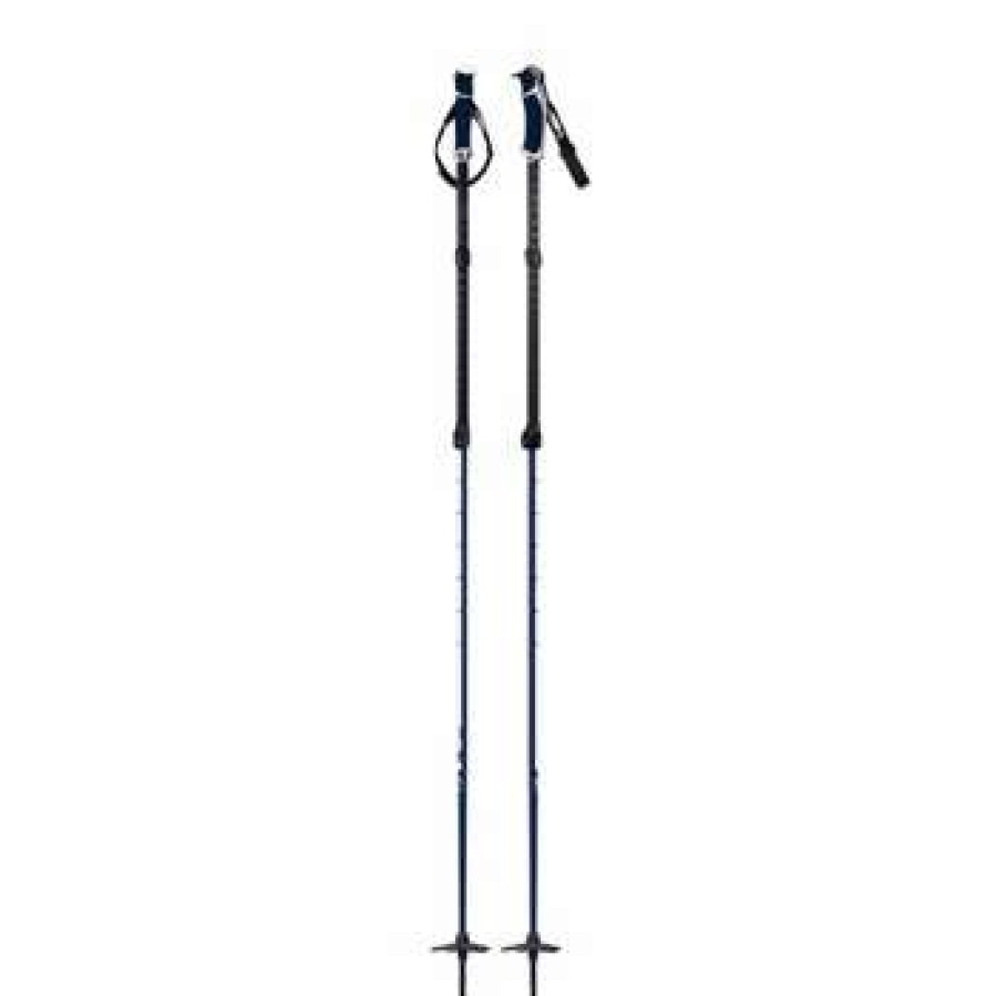 Ski Gear * | G3 Via Ski Poles By G3